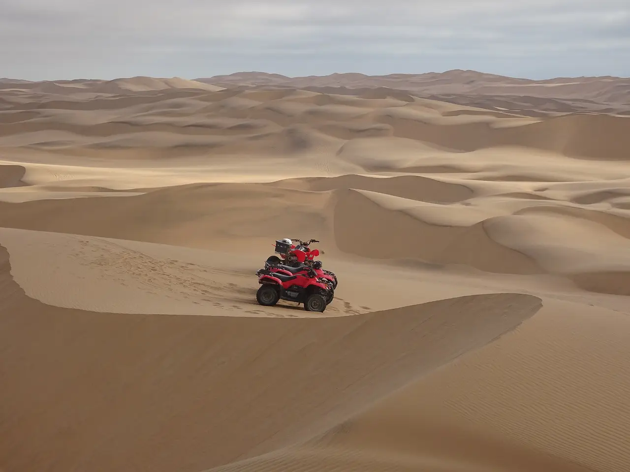 Quad Morning