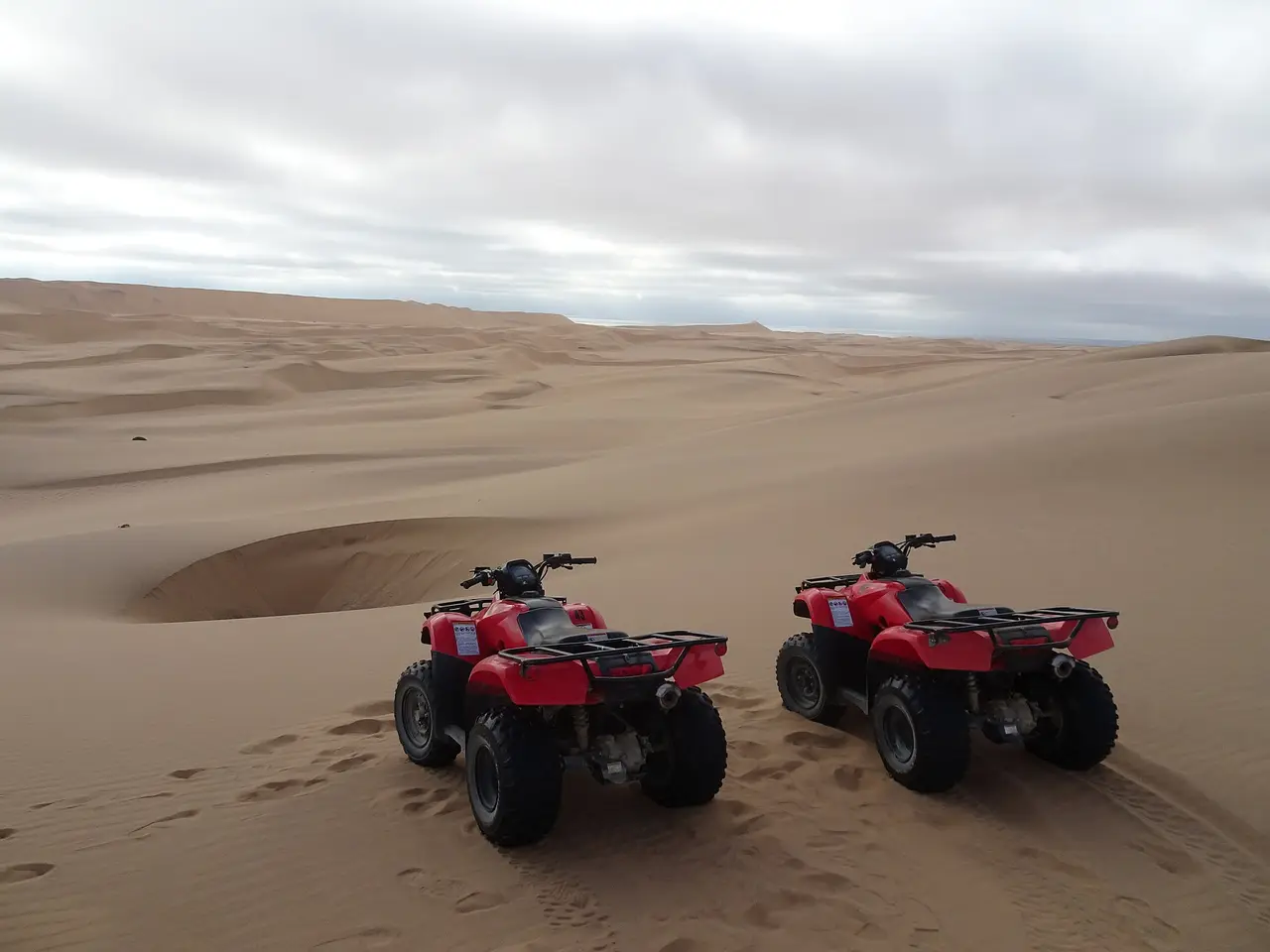 Quad Afternoon