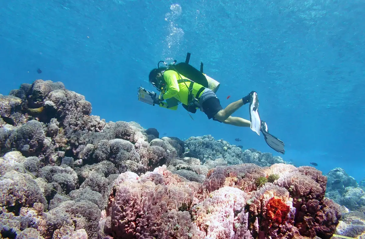 Scuba Diving