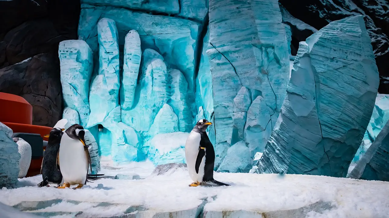 SeaWorld Abu Dhabi