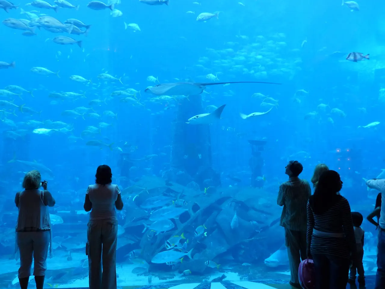 Lost Chambers Aquarium