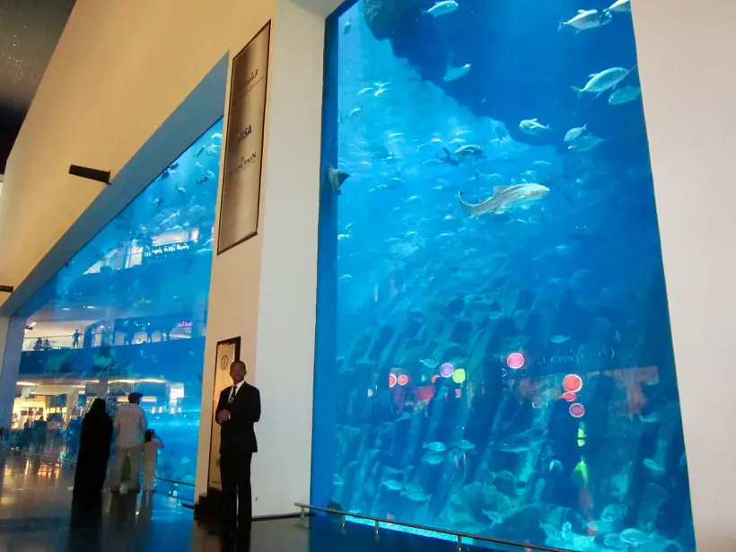 Dubai Mall Aquarium + Penguin