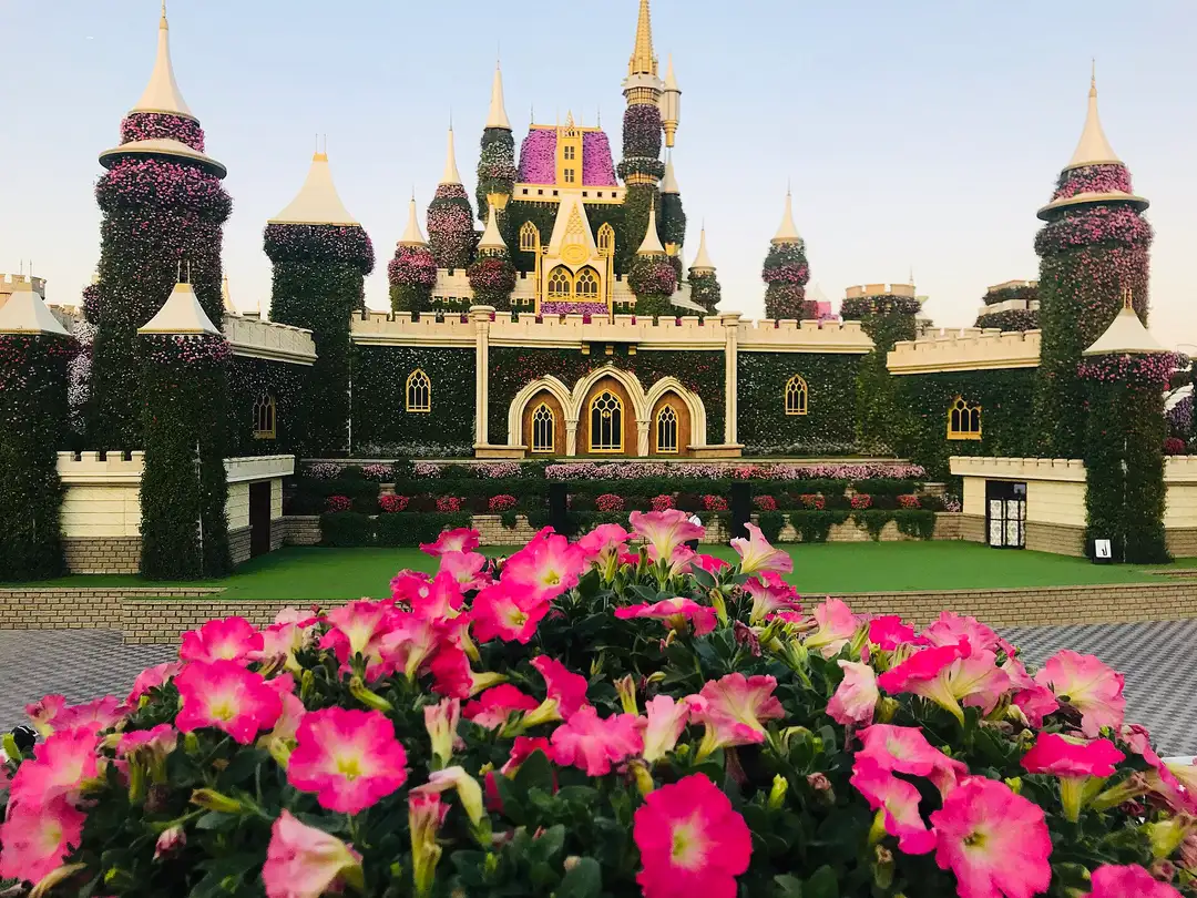 Miracle Garden
